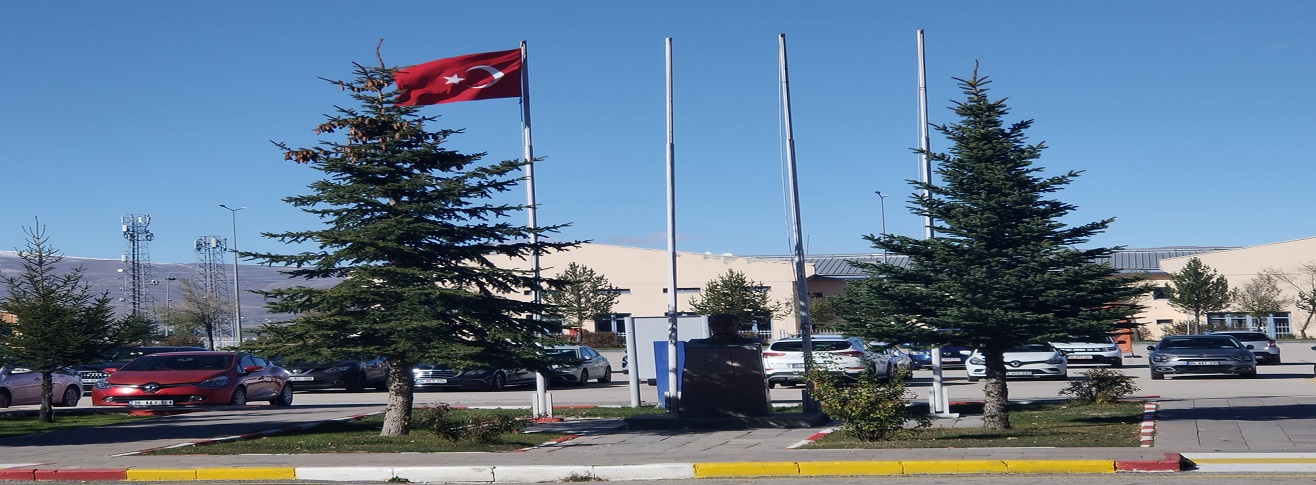 ERZURUM HAVALİMANI
