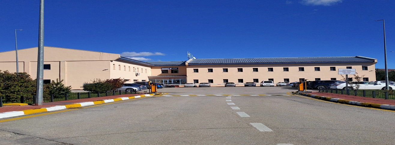 ERZURUM HAVALİMANI