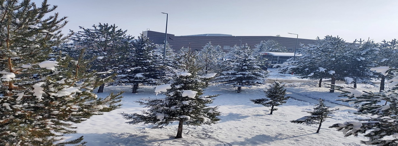 ERZURUM HAVALİMANI