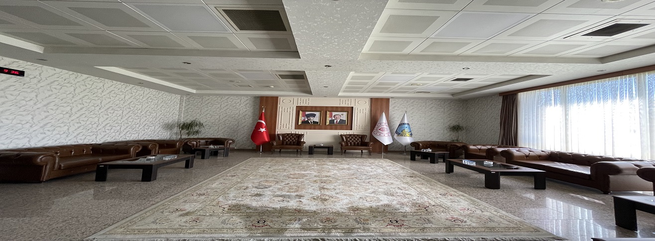 ERZURUM HAVALİMANI