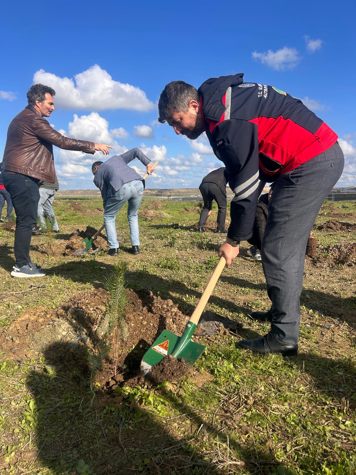 Milli Ağaçlandırma Günü