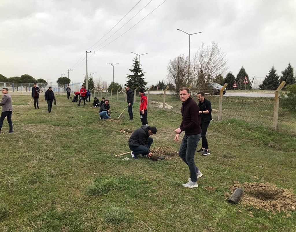 UŞAK HAVALİMANI AĞAÇLANDIRMA ÇALIŞMALARI