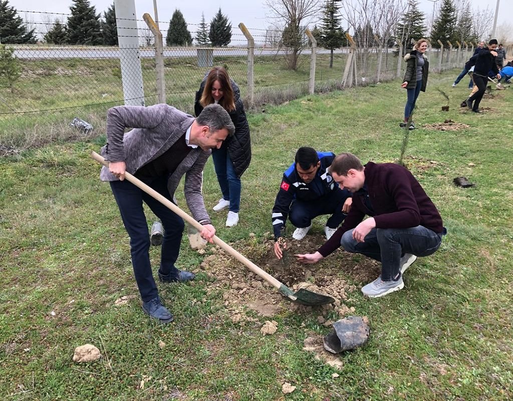 UŞAK HAVALİMANI AĞAÇLANDIRMA ÇALIŞMALARI