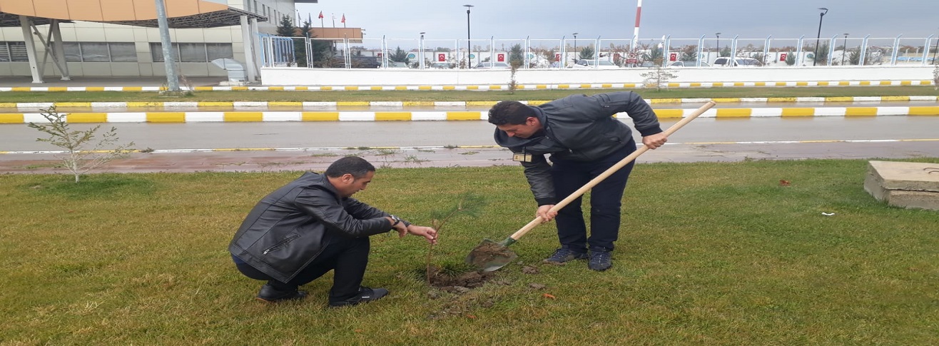 HAVALİMANIMIZDA  “GELECEĞE NEFES OL”  PROJESİ KAPSAMINDA FİDAN DİKİMİ YAPILDI