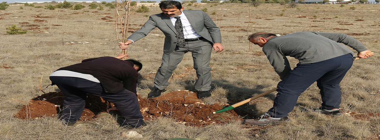 HAVALİMANIMIZDA MİLLİ AĞAÇLANDIRMA GÜNÜ 