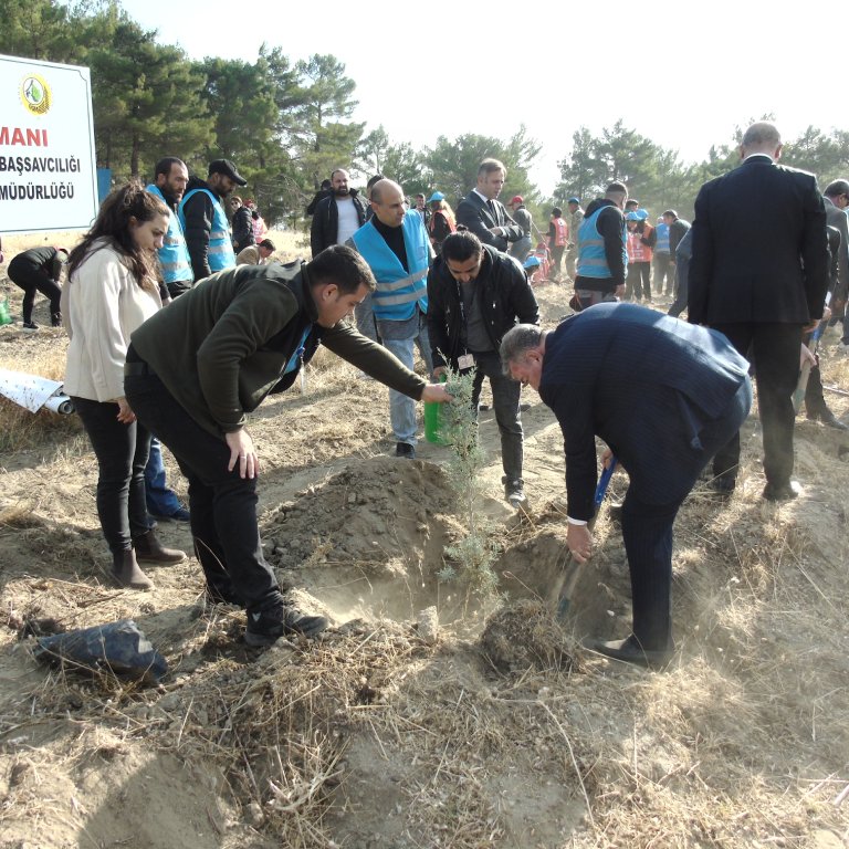 11.11.2024 MİLLİ AĞAÇLANDIRMA GÜNÜ 