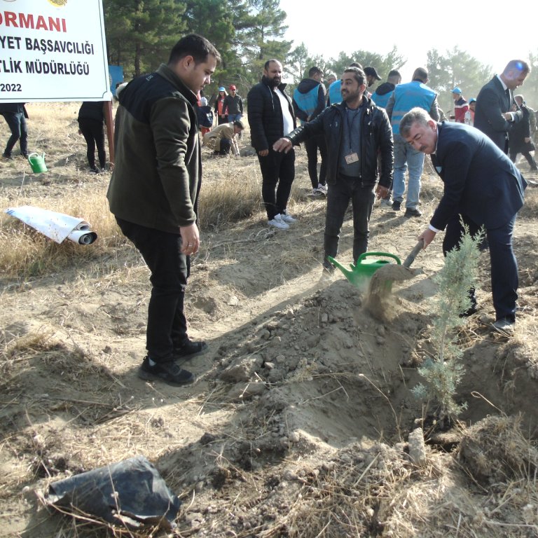 11.11.2024 MİLLİ AĞAÇLANDIRMA GÜNÜ 