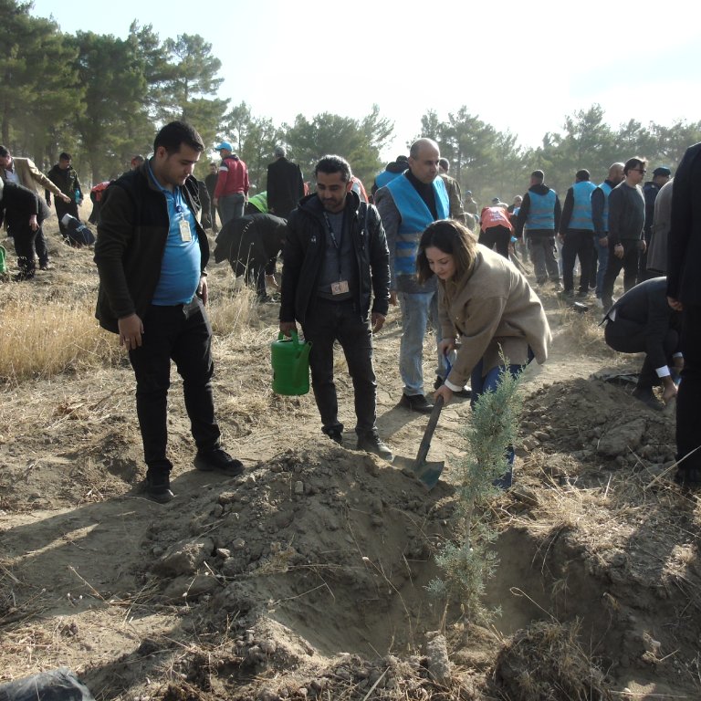 11.11.2024 MİLLİ AĞAÇLANDIRMA GÜNÜ 