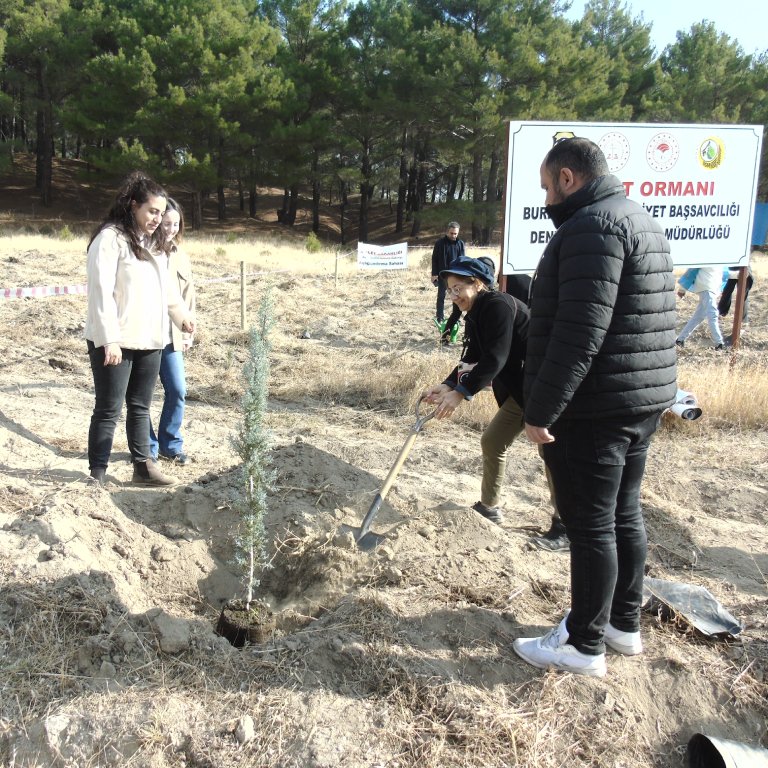 11.11.2024 MİLLİ AĞAÇLANDIRMA GÜNÜ 