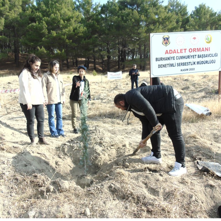 11.11.2024 MİLLİ AĞAÇLANDIRMA GÜNÜ 