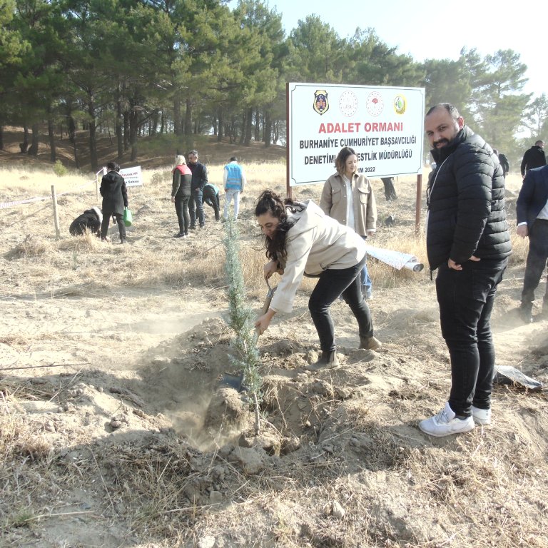 11.11.2024 MİLLİ AĞAÇLANDIRMA GÜNÜ 