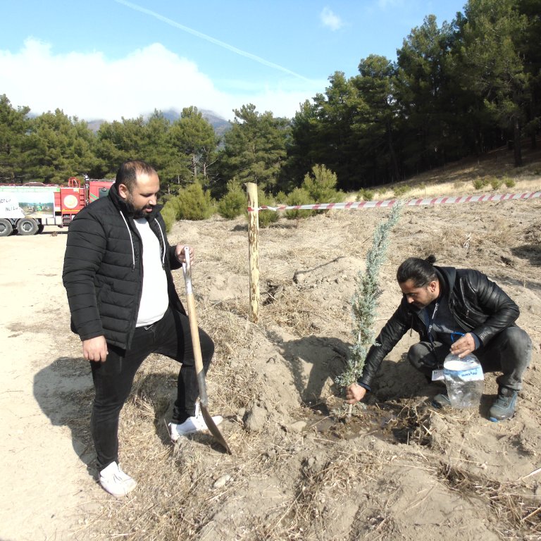 11.11.2024 MİLLİ AĞAÇLANDIRMA GÜNÜ 