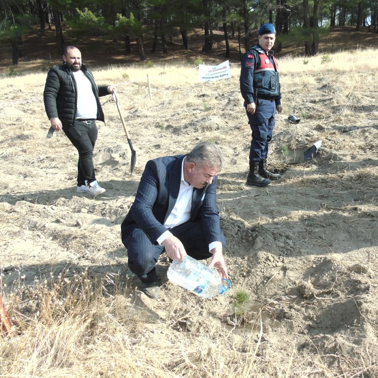 11.11.2024 MİLLİ AĞAÇLANDIRMA GÜNÜ 