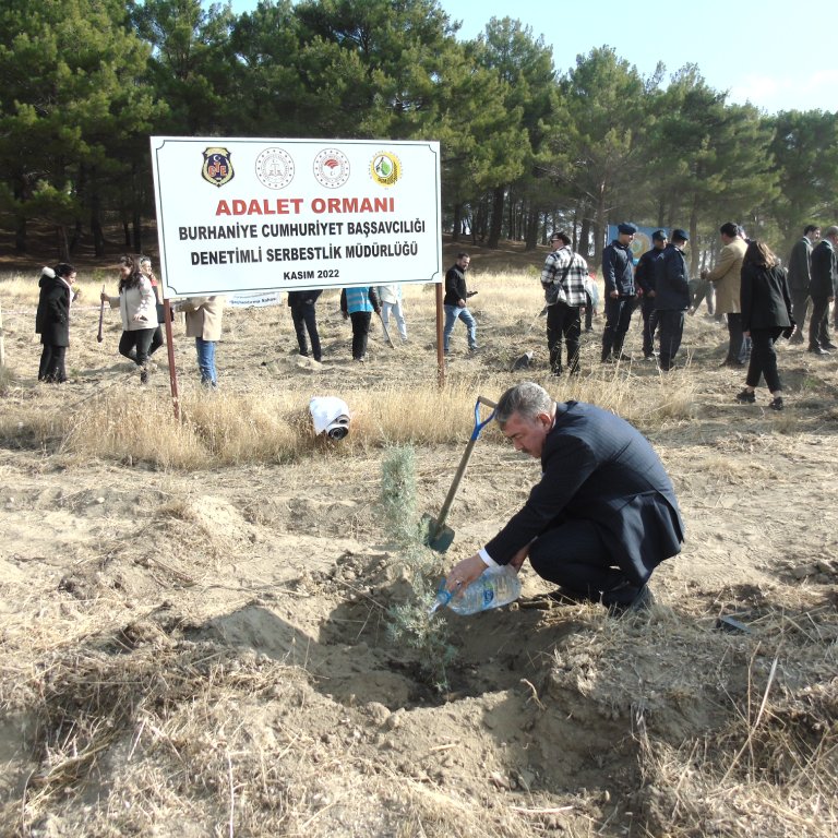 11.11.2024 MİLLİ AĞAÇLANDIRMA GÜNÜ 